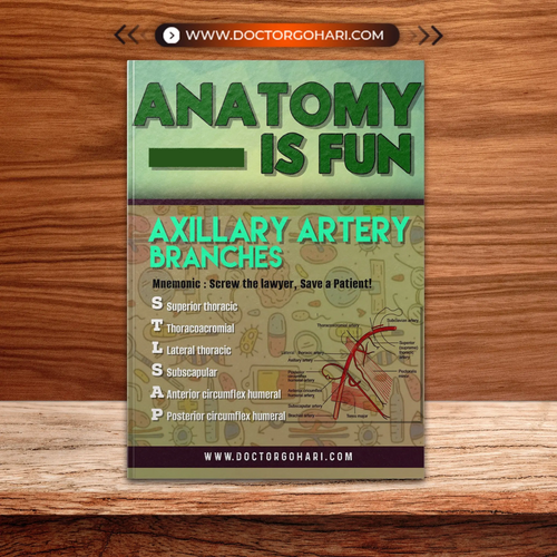 Anatomy is fun Ebook 2025