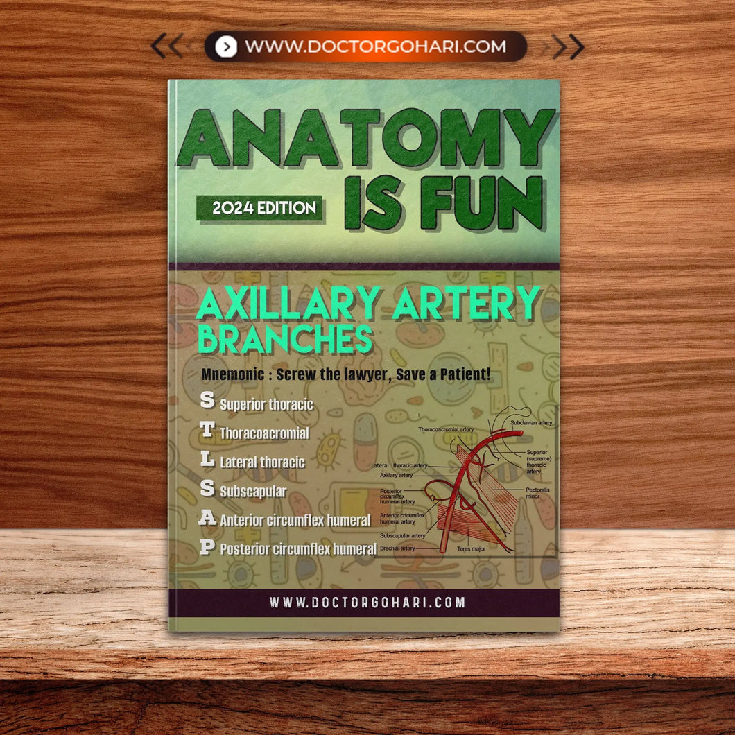 Anatomy is fun Ebook 2024 doctorgohari